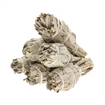 Tocha de Sálvia Branca da Califórnia (Salvia Apiana)